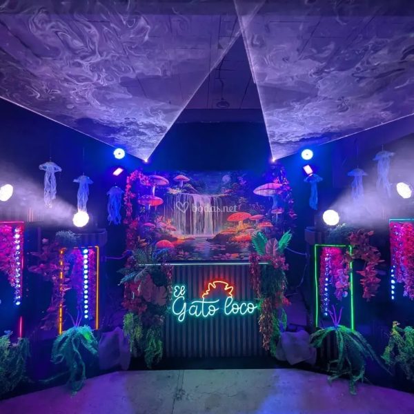 Cabina Para DJ - Imagen 8